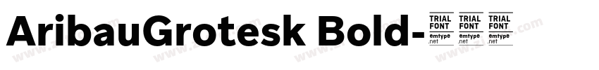 AribauGrotesk Bold字体转换